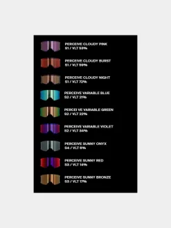 Anon Insight Snowboardbrille Wmn