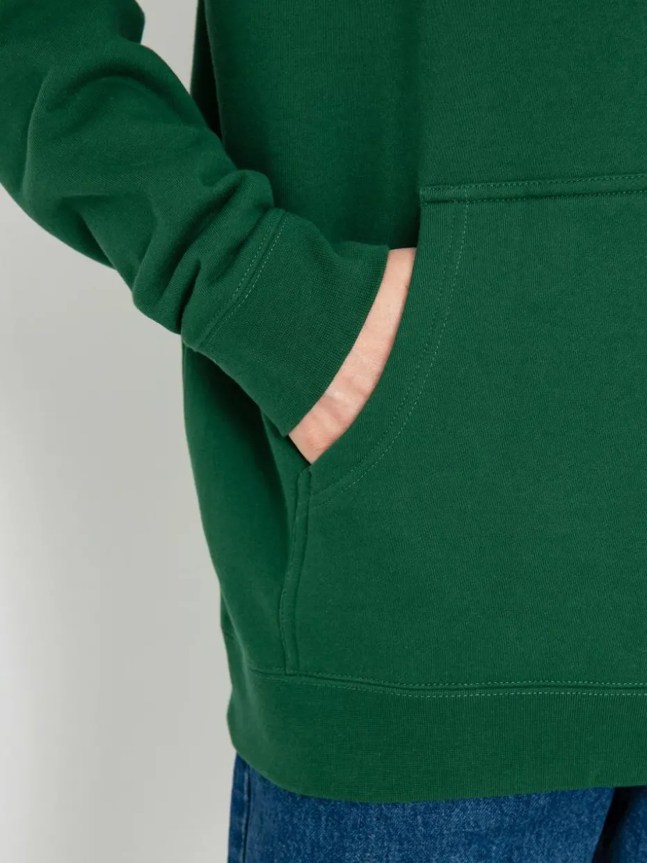 Antihero Bs Pigeon Rnd Emb HD Hoodie