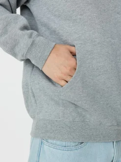 Antihero Diy Eagle HD Hoodie