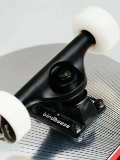 Birdhouse Hawk Skull 2 Chrome Skateboard