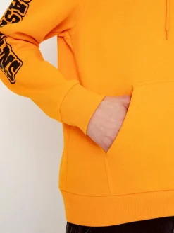 Brixton Bass Brains Swim HD Hoodie