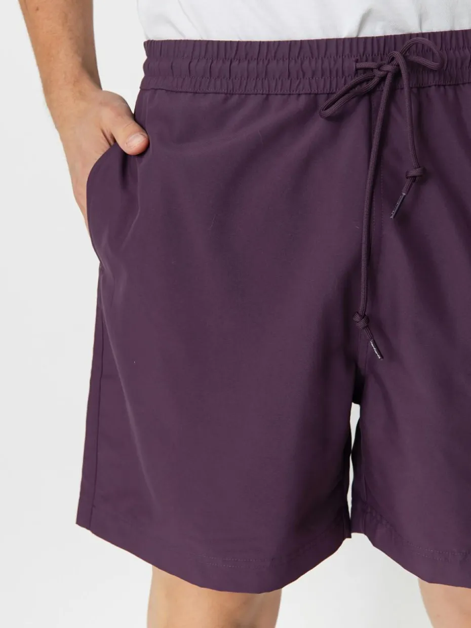 Carhartt WIP Shorts Chase Swim