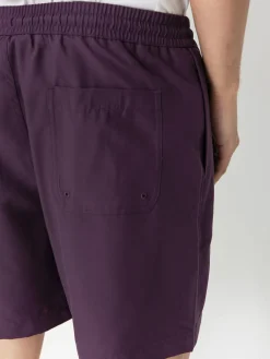 Carhartt WIP Shorts Chase Swim