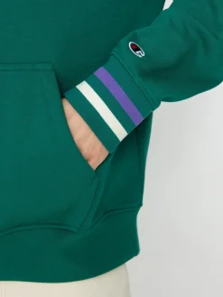 Champion Hooded Sweatshirt 219174 HD Hoodie