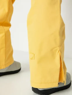 Damen Roxy Nadia Snowboardhose