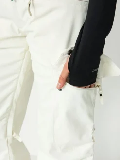 Damen Roxy Passive Lines Snowboardhose