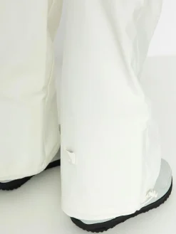 Damen Roxy Passive Lines Snowboardhose