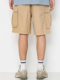 DC Tundra Cargo Shorts