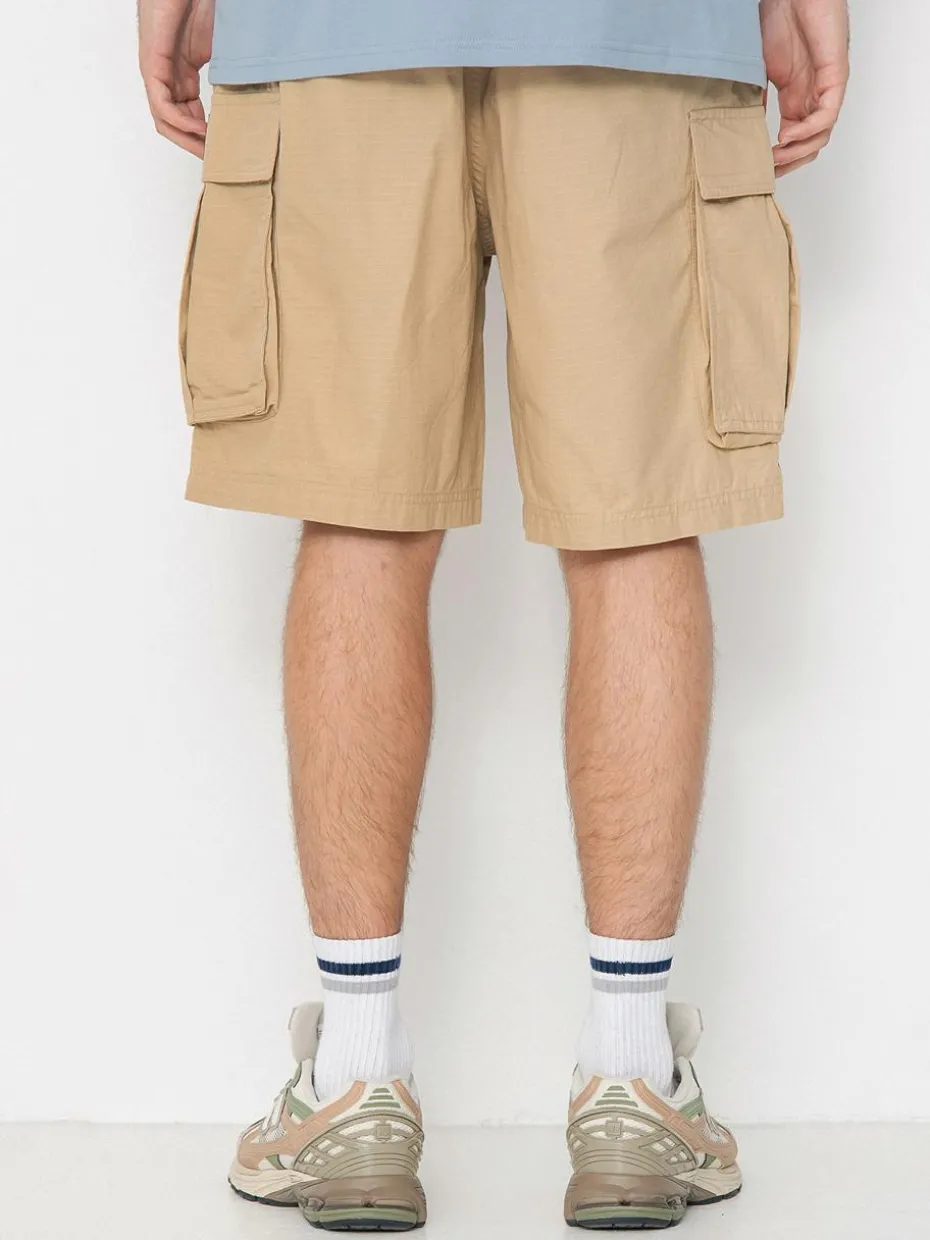 DC Tundra Cargo Shorts