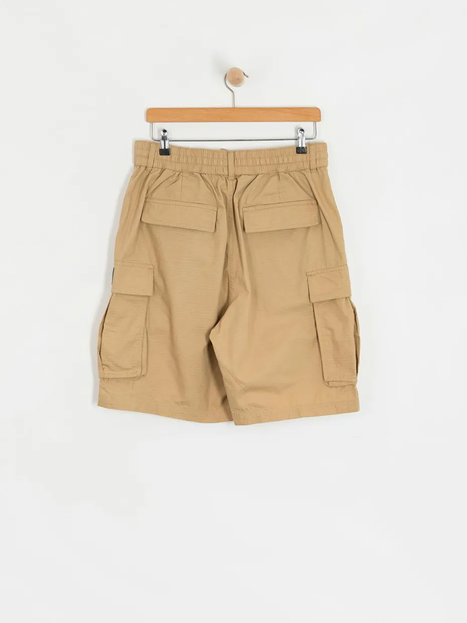 DC Tundra Cargo Shorts