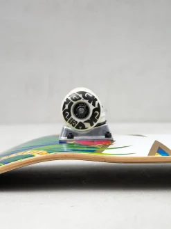 DGK Vacation Skateboard