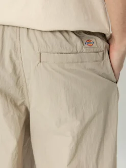 Dickies Hose Jackson Cargo