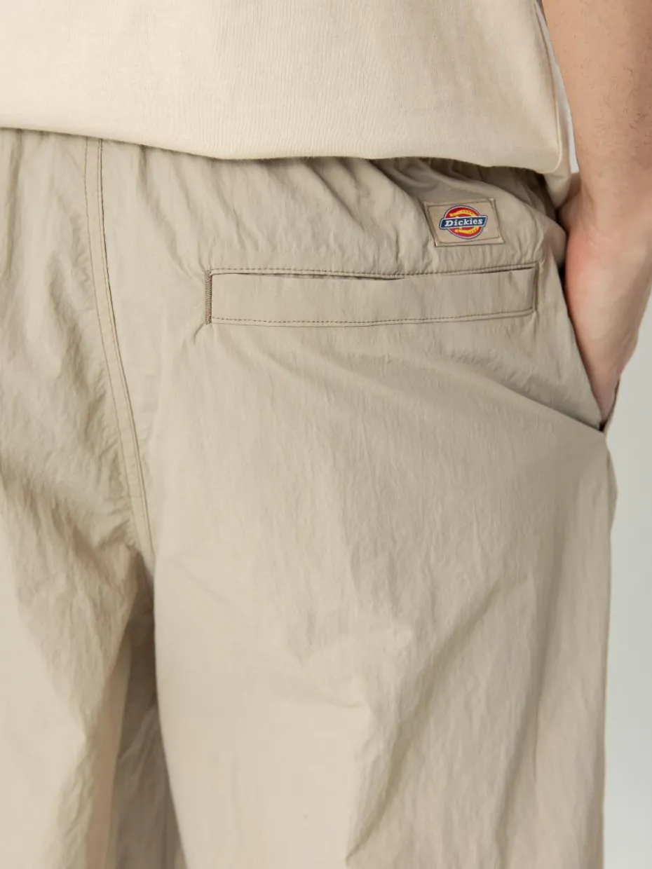 Dickies Hose Jackson Cargo