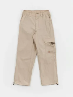 Dickies Hose Jackson Cargo