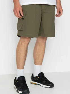 Dickies Shorts Jackson Cargo