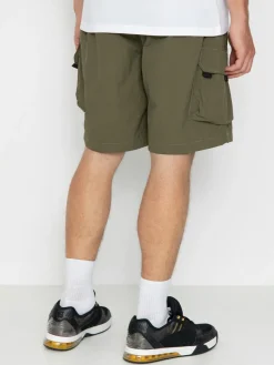 Dickies Shorts Jackson Cargo