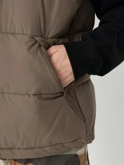 Dickies Waldenburg Weste