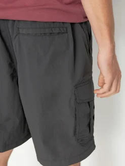 Element Chillin Cargo Hybrid Shorts