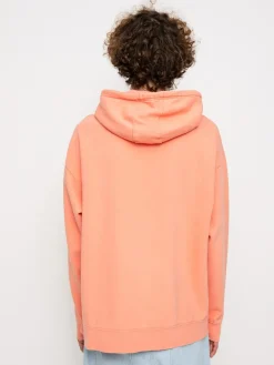 Etnies z kapturem Jw Sweatshirt