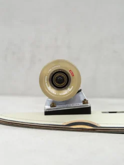 Globe Big Blazer Cruiser