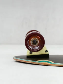 Globe Chromantic Cruiser