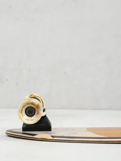 Globe Chromantic Cruiser