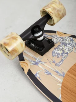 Globe Chromantic Cruiser