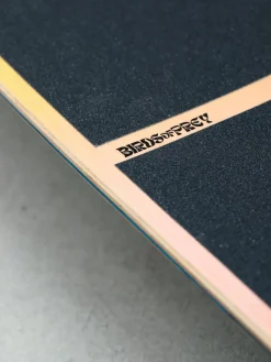 Globe Stubby Cruiser