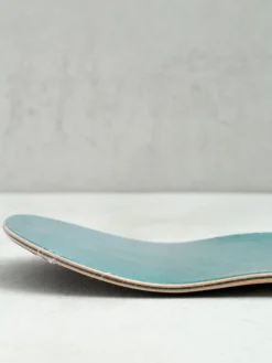 Habitat Transit Logo Deck