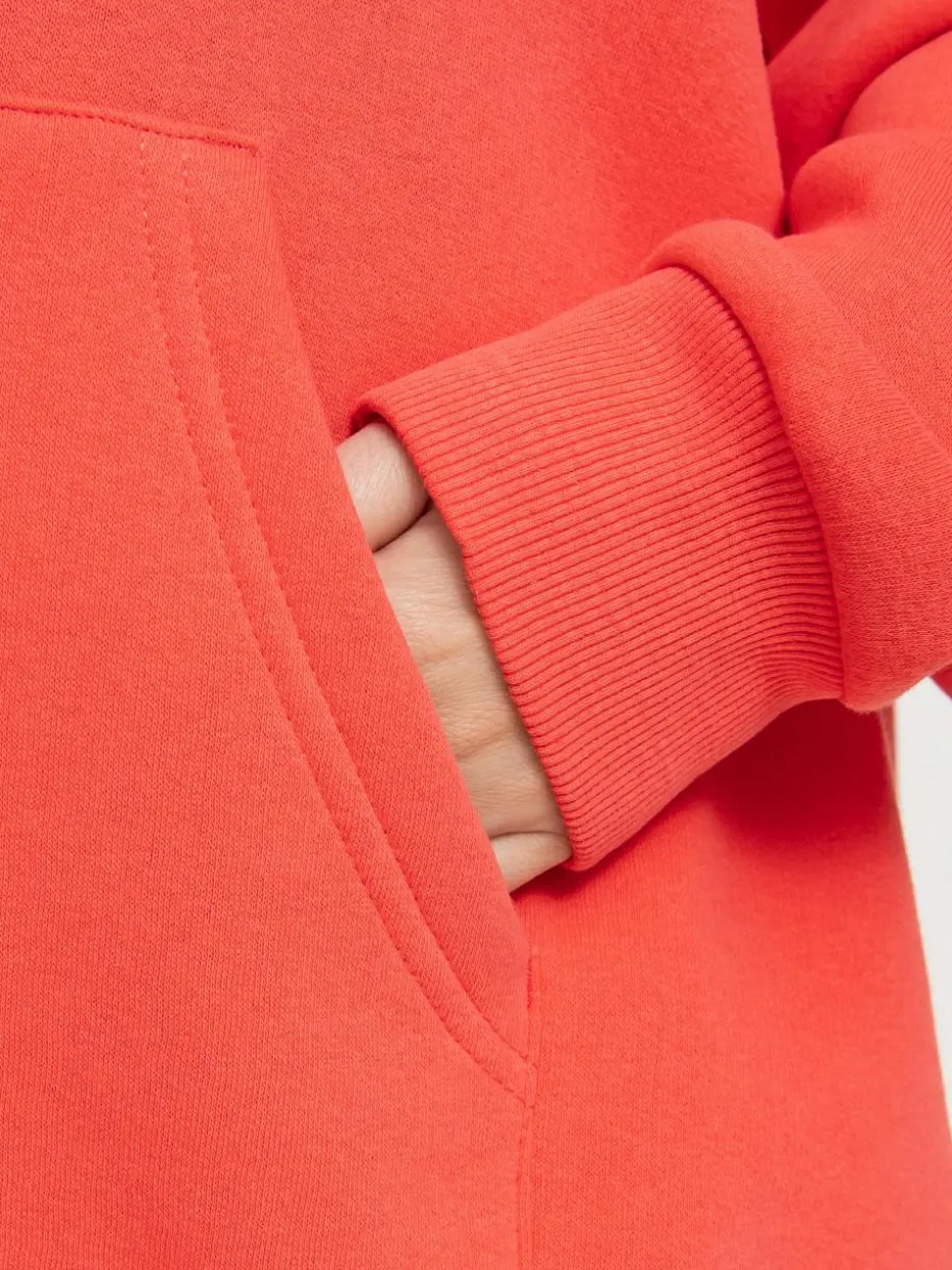 Local Heroes Utopia HD Hoodie Wmn