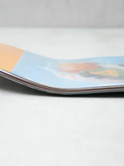 Palace Skateboards Brady Pro Deck