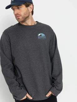 Patagonia Lightweight Applied Imagination Wildrise Sweatshirt