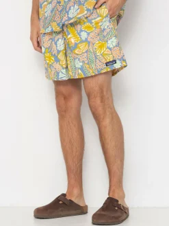 Patagonia Shorts Baggies Shorts 5in