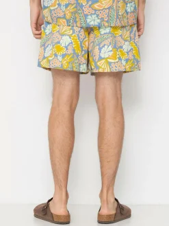 Patagonia Shorts Baggies Shorts 5in