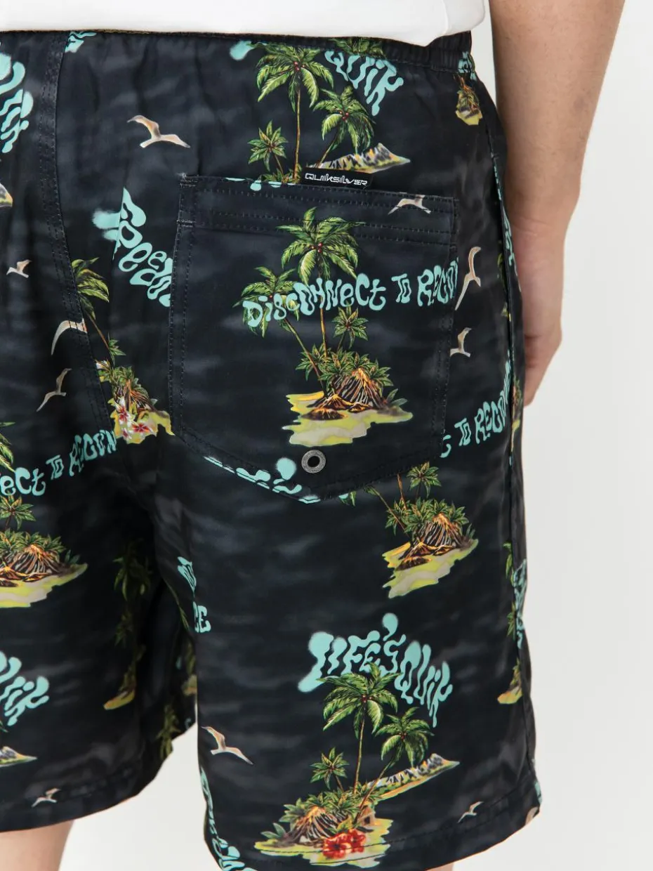 Quiksilver Shorts Everyday Straight Volley 17