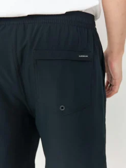 Quiksilver Shorts Taxer Amphibian 18