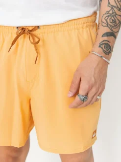 Quiksilver Surfsilk Solid Volley 16 Shorts