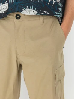 Rip Curl Shorts Boardwalk Trail Cargo