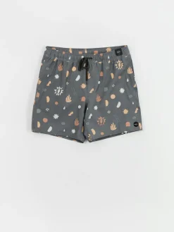 RVCA Atlas Elastic Boardshorts
