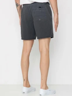 Salty Crew Seadog Volley Shorts