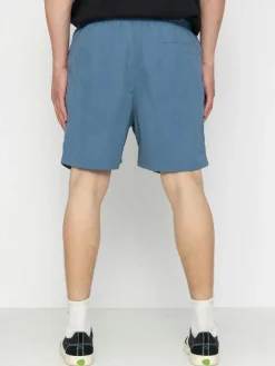 Santa Cruz Classic Dot Shorts