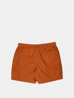 Santa Cruz Classic Dot Shorts