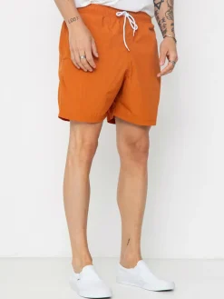 Santa Cruz Classic Dot Shorts