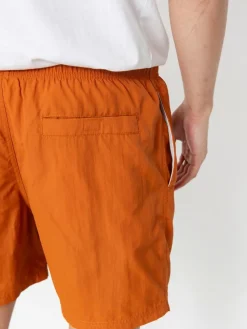 Santa Cruz Classic Dot Shorts