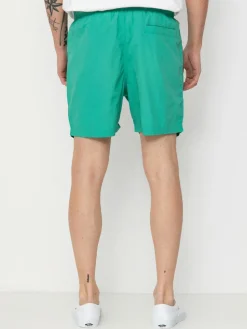 Santa Cruz Classic Dot Shorts