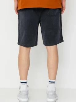 Santa Cruz Shorts Chill