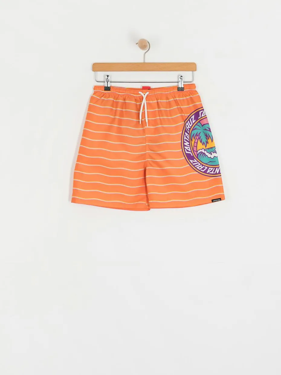 Santa Cruz Youth Paradise Break JR Shorts