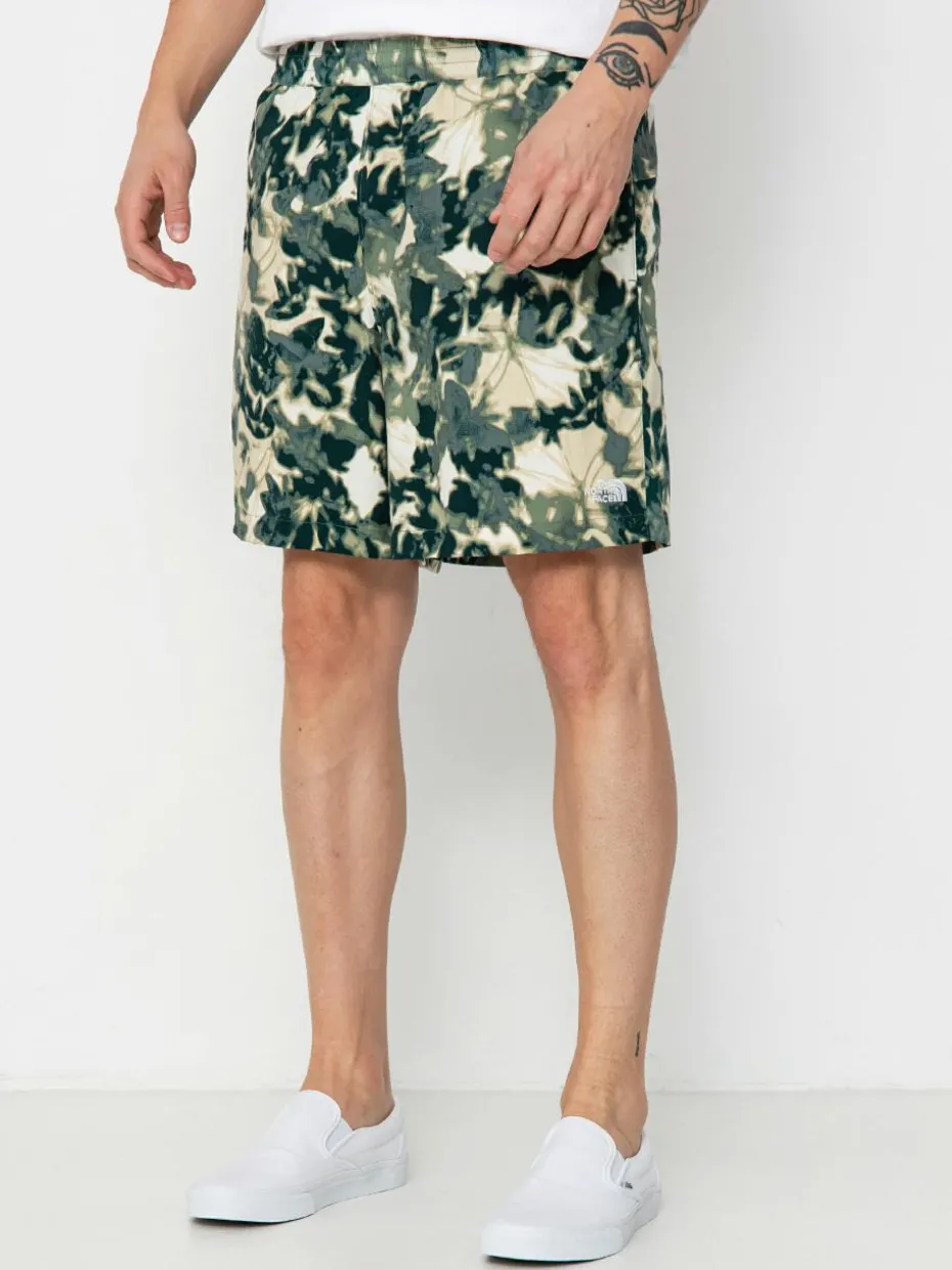 The North Face Class V Pathfinder Shorts