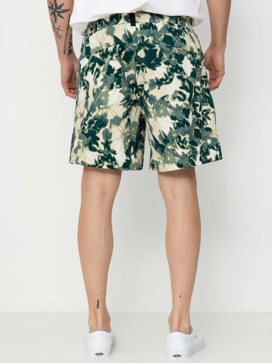 The North Face Class V Pathfinder Shorts