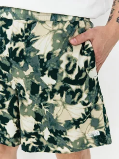 The North Face Class V Pathfinder Shorts